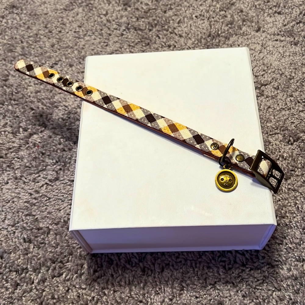 Bond & Co. dog collar